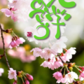 入学式🌸